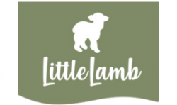 Little Lamb