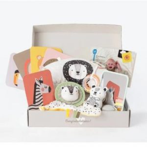 Developmental Toys and Gifts Taf Toys newborn gift set of developmental toys, including a blankie, rattle and visual cards