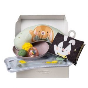 Boxed Gifts Taf Toys Tummy Time newborn gift set with water mat, sensory balls, tummy time pillow and visual book.